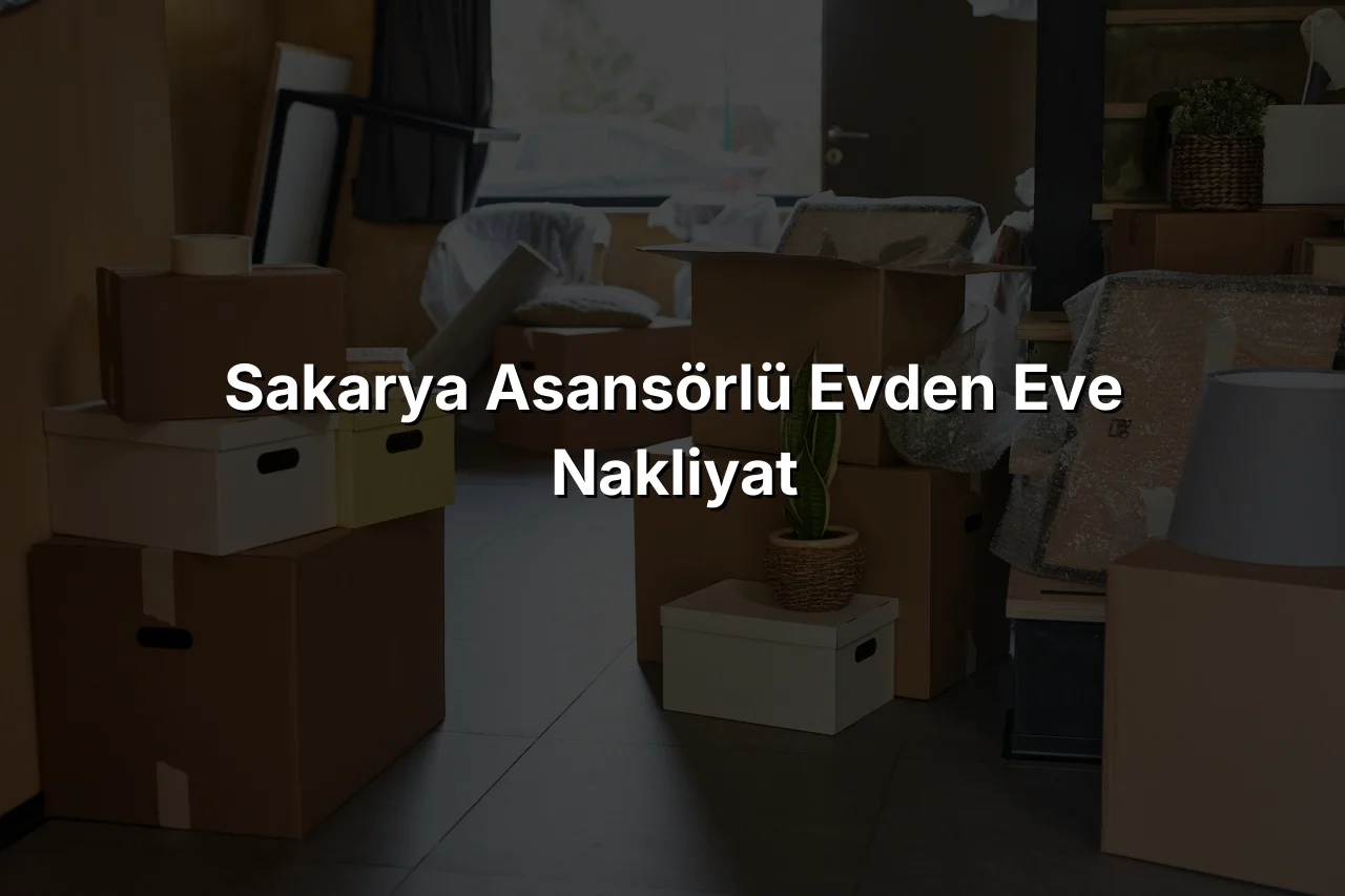 Sakarya Asansörlü Evden Eve Nakliyat