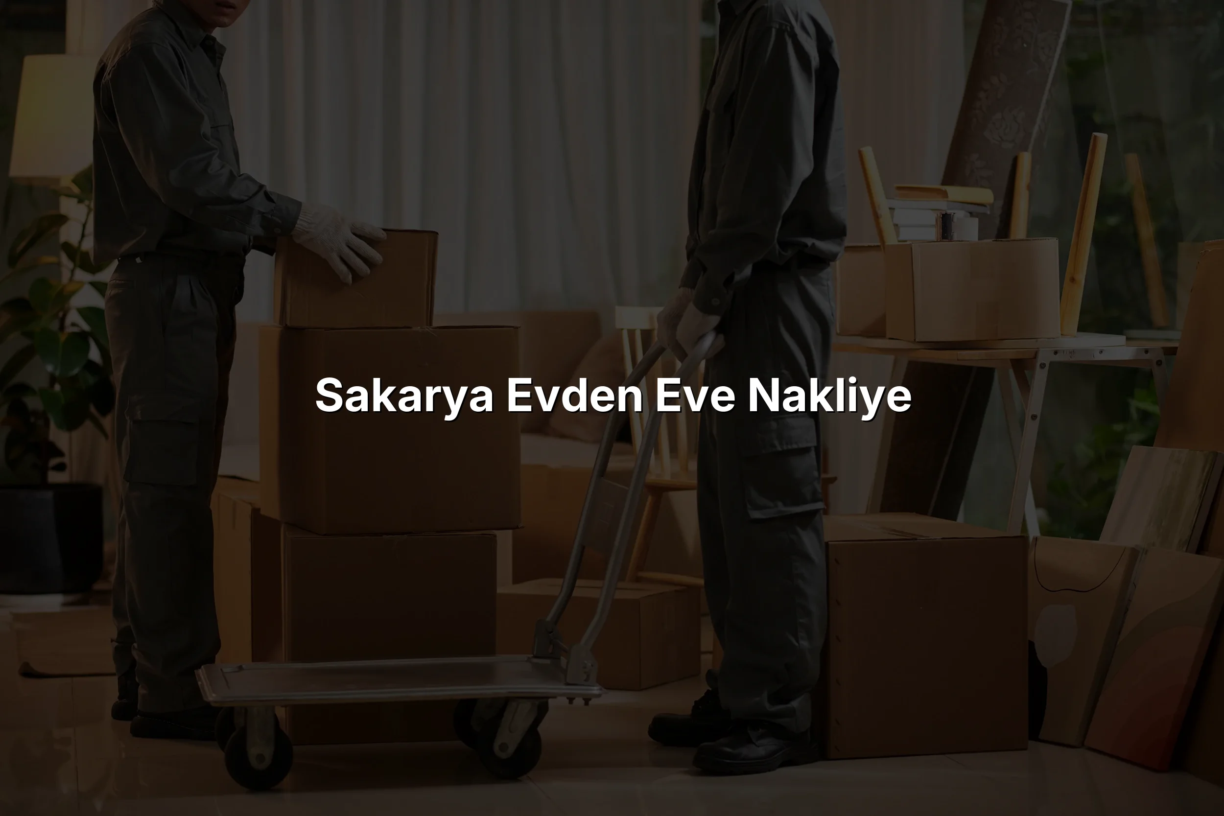Sakarya Evden Eve Nakliye